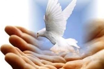 У Ковелі дітлахи збирали кошти для Настуні Абрамчук