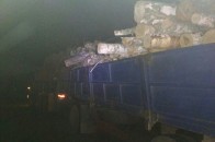 На Волині величезні колоди впали на легковик. ФОТО