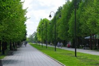 У Луцькому парку заборонять паркуватися