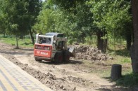 Парк у Луцьку оновлюють усім миром!