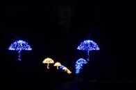 Фантастично-Креативний Центральний парк в Луцьку