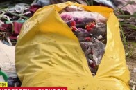 Шприци, скальпелі, кров: моторошне звалище шокувало селян