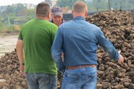 На Гнідавському цукровому заводі вироблятимуть цукор для європейців. ФОТО
