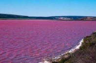 У Сумах з'явилося дивовижне рожеве озеро