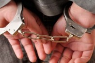Після зґвалтування дитини педофіл голяка ховався від поліції в кукурудзі. ВІДЕО