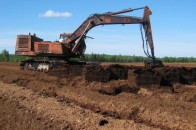 Волинська ОДА блокує надання ділянок для ДП «Волиньторф»