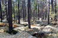 На Рівненщині поліція відстрілювалася від 150 бурштинокопачів
