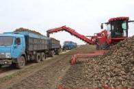 Гнідавський цукровий завод – лідер із виробництва цукру