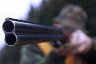 Браконьєрам, які на Волині вбили двох лосів, загрожує до 3 років ув’язнення