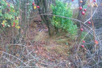 Кожного дня дивився на тіло хлопчика - на Харківщині затримали психічно-хворого вбивцю
