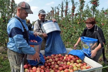 Лавочку прикриють: Польща змінює закони для заробітчан