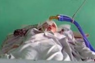 Подробиці загибелі у страшних муках дівчини-підлітка на Житомирщині. ВІДЕО