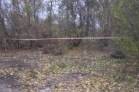 За гарячими слідами затримали чоловіка, який зґвалтував молоду дівчину
