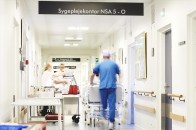 Вчені розповіли, коли чоловіки зможуть народжувати дітей