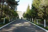 Керівництво “Лісової пісні” проситиме Держархбудінспекцію вирішити земельне питання