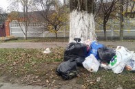 У приватному секторі лучани лишають сміття поблизу дороги