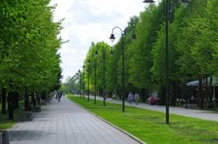 В’їзд у центральний парк Луцька буде обмежений
