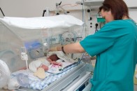 У такому інкубаторі навіть 500-грамові крихітки знаходять порятунок