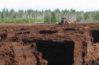 СБУ перевірить Гунчика на предмет державної зради