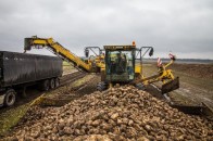 Гнідавський цукровий завод продовжить терміни сезону цукроваріння