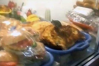 Як у в кіоску по їжі бігають миші (ВІДЕО)