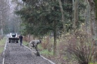 У Луцькому парку скоро з’явиться ще одна оновлена алея