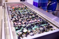 У Рівному жінка посеред супермаркету з’їла елітний продукт та намагалася втекти