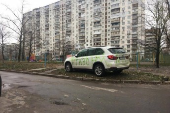Активісти суворо покарали водія, який припаркувався на газоні у Києві