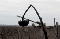 Росія завдала збитків Україні на 33 вагони золота