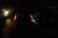 Нетвереза жінка кидалася під автомобілі у Луцьку