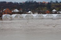 У мережі опублікували вражаюче відео наслідків негоди на Закарпатті