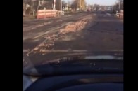 Поблизу заводу волинського нардепа розкидані курячі відходи