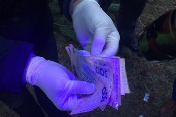 На Волині майстер лісу хотів 5 тис. грн хабара, за 120 новорічних сосен