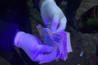 На Волині майстер лісу хотів 5 тис. грн хабара, за 120 новорічних сосен