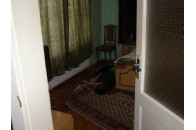 На Харківщині чоловіка затримано за безжальне вбивство матері (Відео)