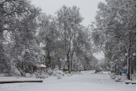 В Україну йде справжня зима: спочатку вріжуть морози, а потім повалить сніг