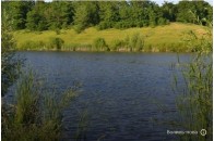 На Волині у горе-підприємця забрали ставок