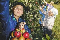 Втричі зросла кількість скарг на поляків від українських заробітчан