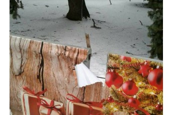У центрі Луцька вандали понищили святковий паркан