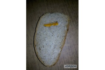 Волинянка знайшла пластмасу у купленому хлібі