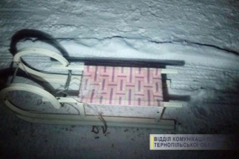 На Тернопільщині під час катання на санях загинула молода дівчина