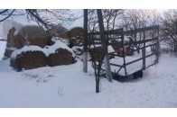 Мати стомилася від сімейних турбот і покинула двомісячне немовля на морозі