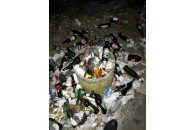 На Волині зупинка біля траси перетворилася на сміттєзвалище