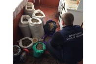 На Волині 