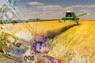 Депутати Волинської облради звернулися до Президента