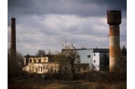Ковельський ветсанзавод залишається серйозною проблемою для Волині