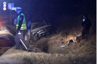 П'яний українець спричинив смертельну аварію у Польщі (фото)