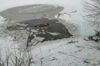Волинянин на 