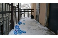 Обезголовлення дівчини в Одесі: журналісти дізнались страшні деталі
