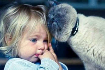 Як на дитину впливає спілкування з котами